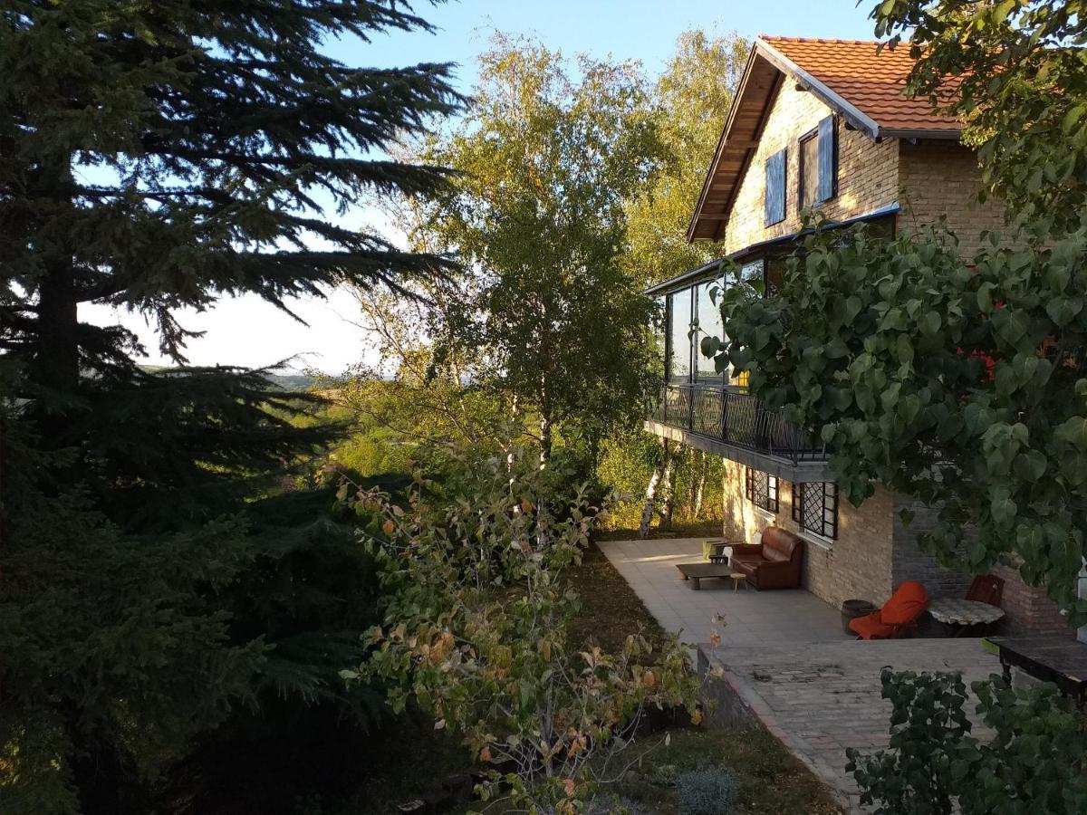 Lodging Vidmar Sremski Karlovci Buitenkant foto