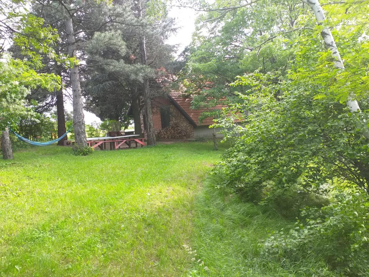 Lodging Vidmar Sremski Karlovci Buitenkant foto