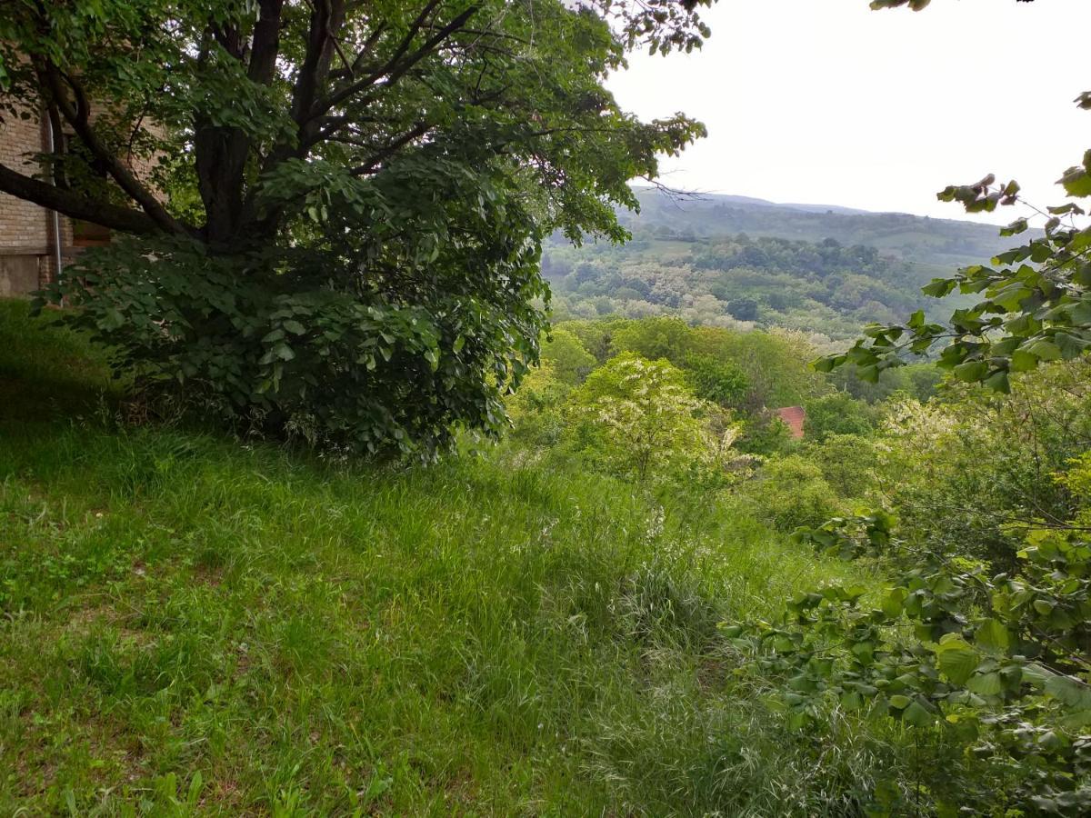 Lodging Vidmar Sremski Karlovci Buitenkant foto