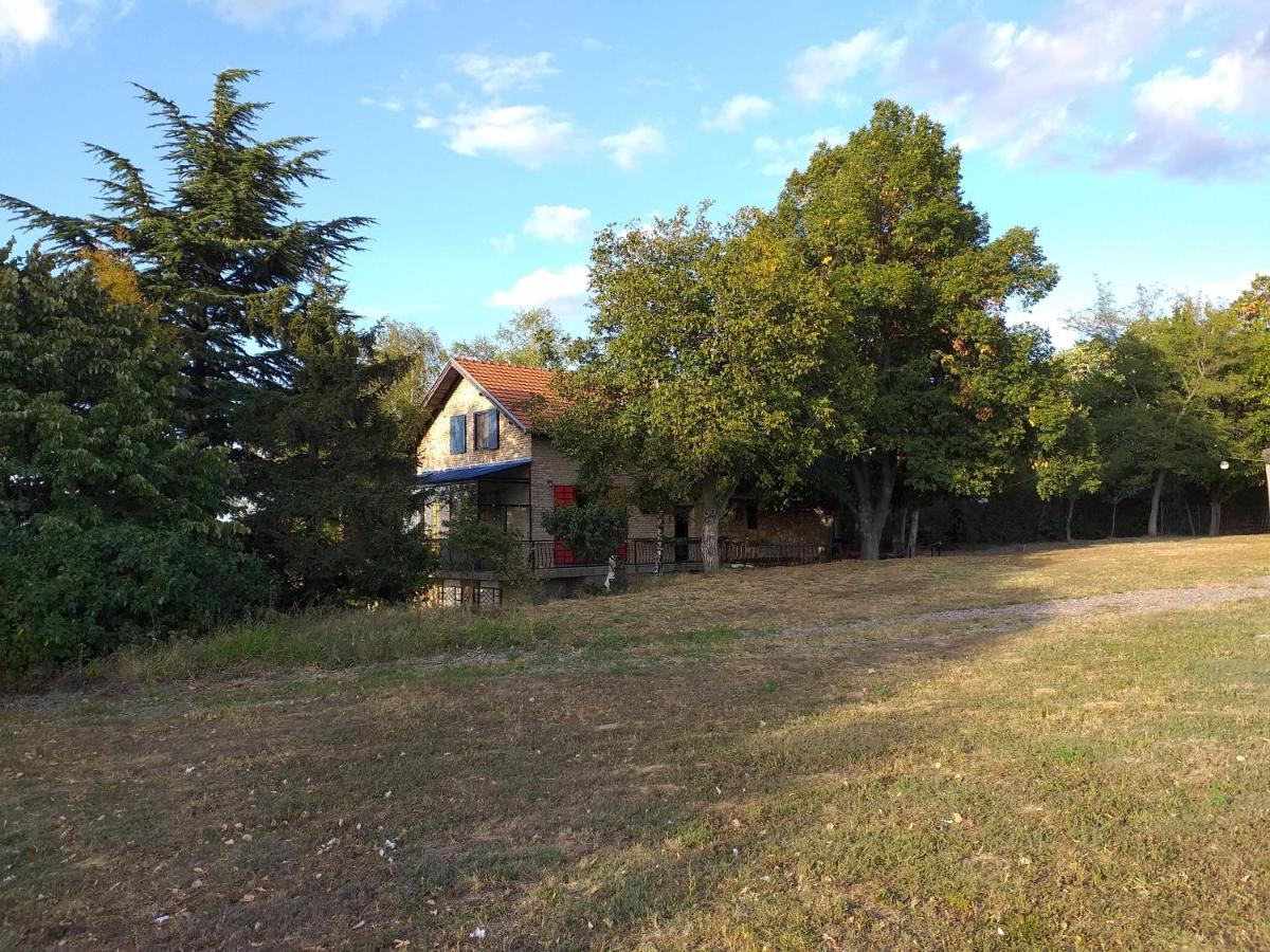 Lodging Vidmar Sremski Karlovci Buitenkant foto