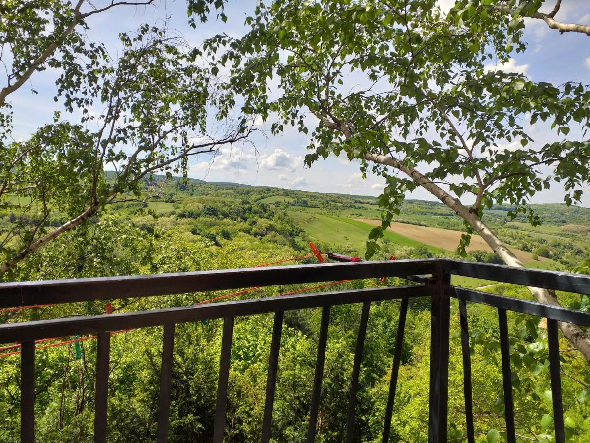 Lodging Vidmar Sremski Karlovci Buitenkant foto