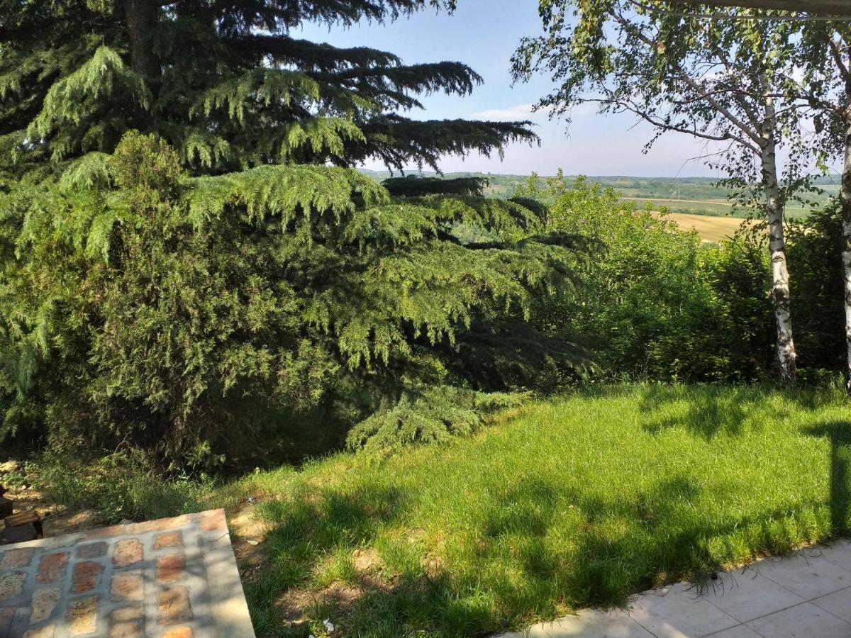 Lodging Vidmar Sremski Karlovci Buitenkant foto