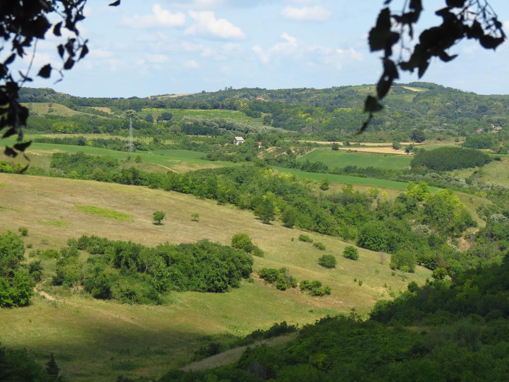 Lodging Vidmar Sremski Karlovci Buitenkant foto