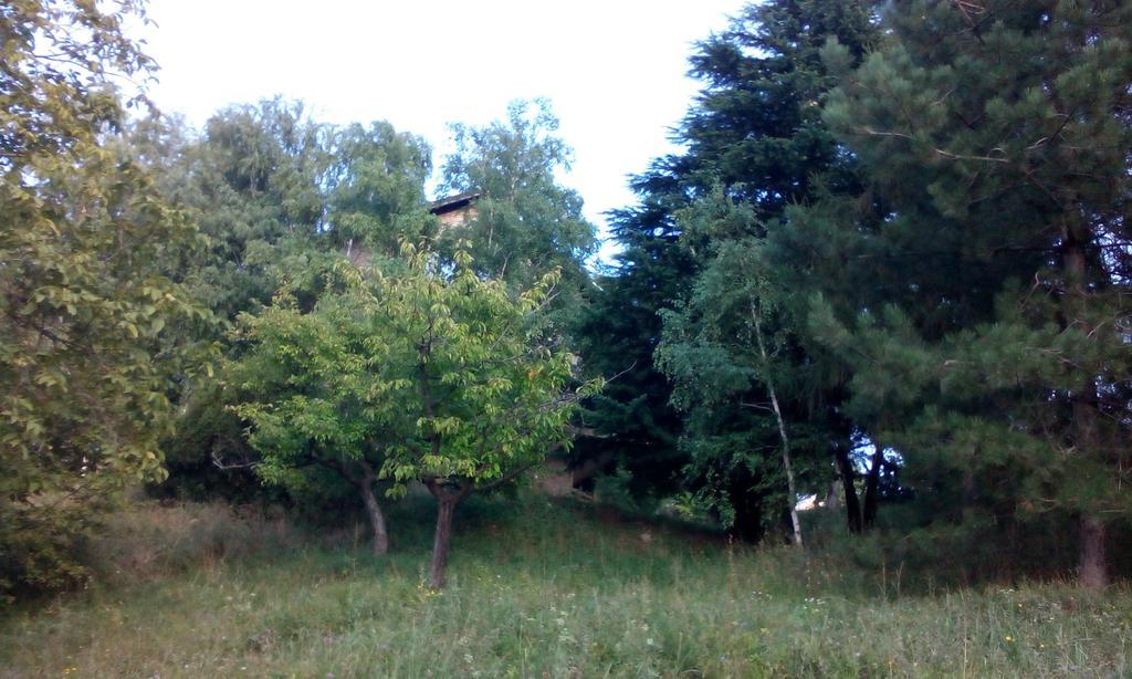 Lodging Vidmar Sremski Karlovci Kamer foto