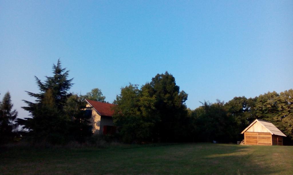 Lodging Vidmar Sremski Karlovci Kamer foto