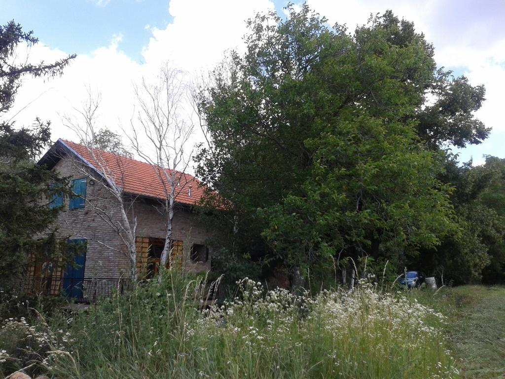 Lodging Vidmar Sremski Karlovci Buitenkant foto