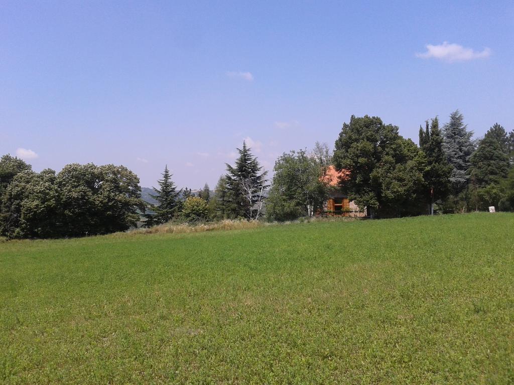 Lodging Vidmar Sremski Karlovci Kamer foto