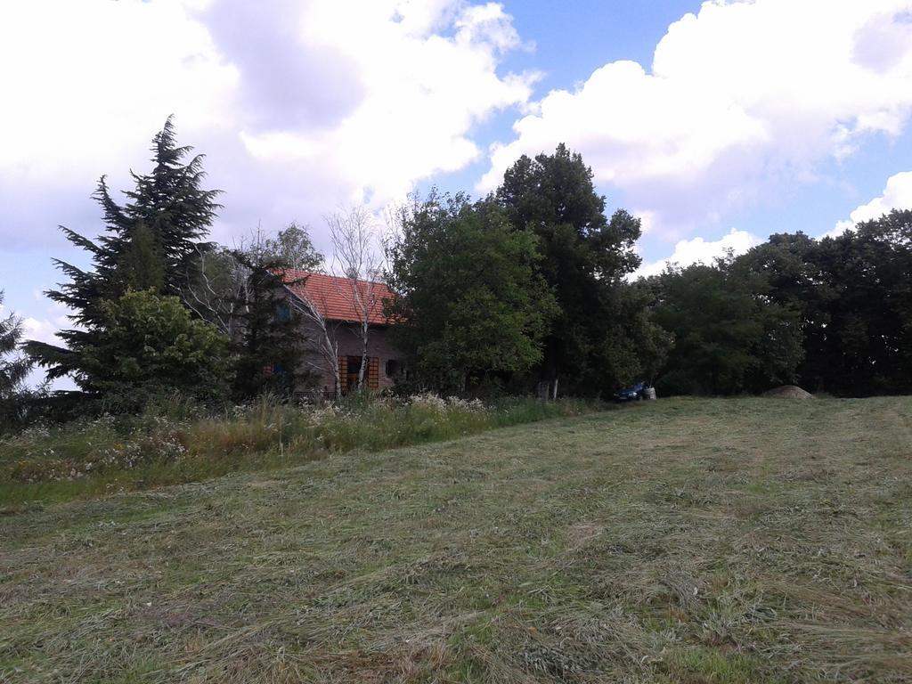 Lodging Vidmar Sremski Karlovci Buitenkant foto