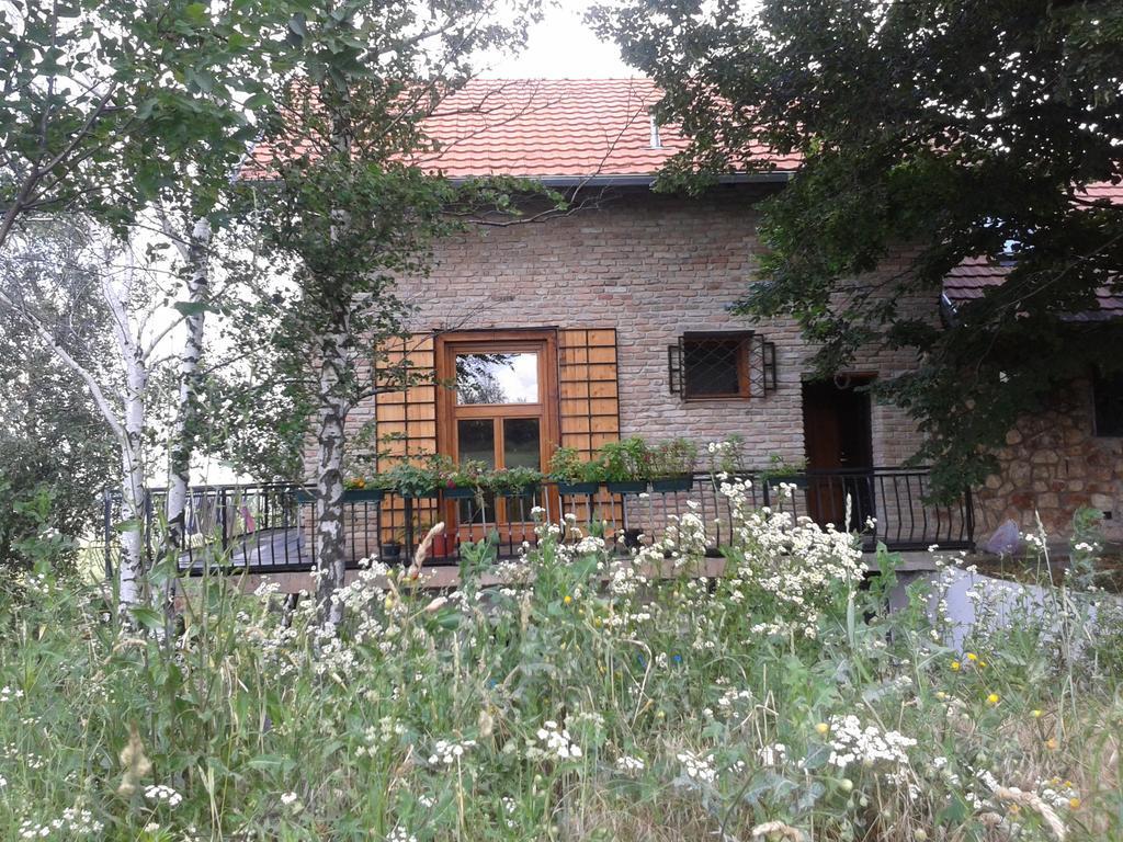 Lodging Vidmar Sremski Karlovci Buitenkant foto