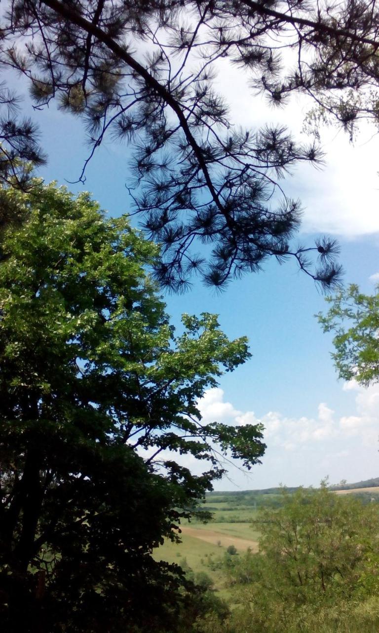 Lodging Vidmar Sremski Karlovci Buitenkant foto