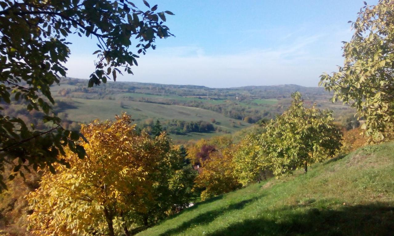 Lodging Vidmar Sremski Karlovci Buitenkant foto