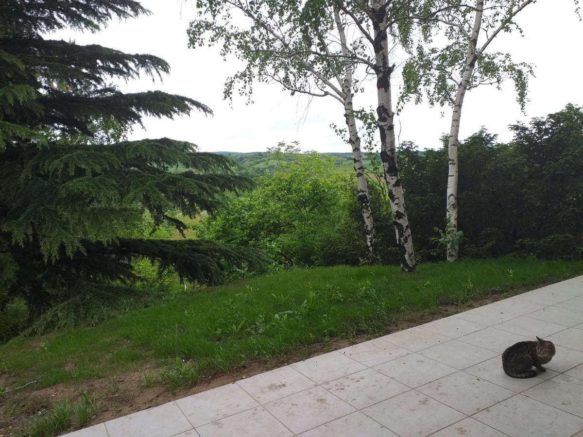 Lodging Vidmar Sremski Karlovci Buitenkant foto
